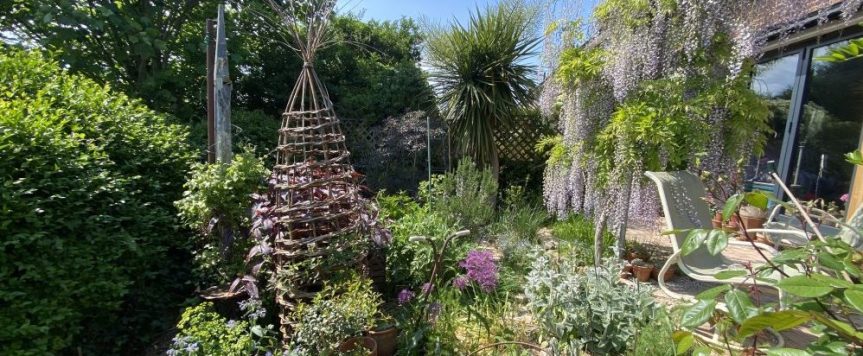 Sarahjane Jackson Brighton garden 2025